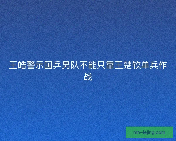 王皓警示国乒男队不能只靠王楚钦单兵作战